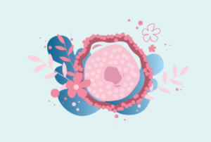 Донорские яйцеклетки