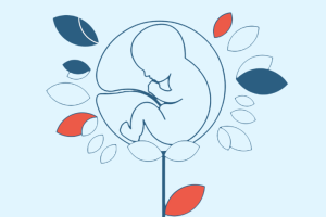 Суррогатное материнство